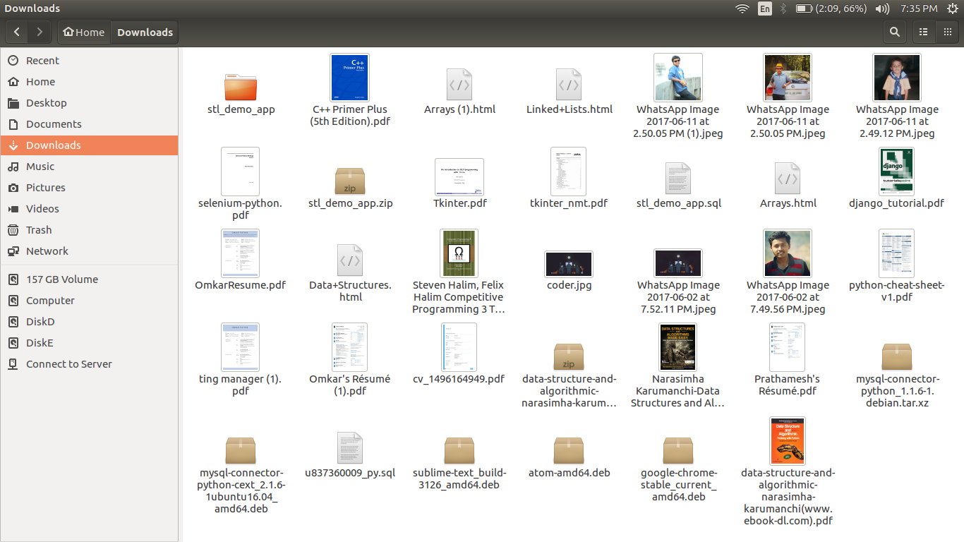 Before File Organizer Before